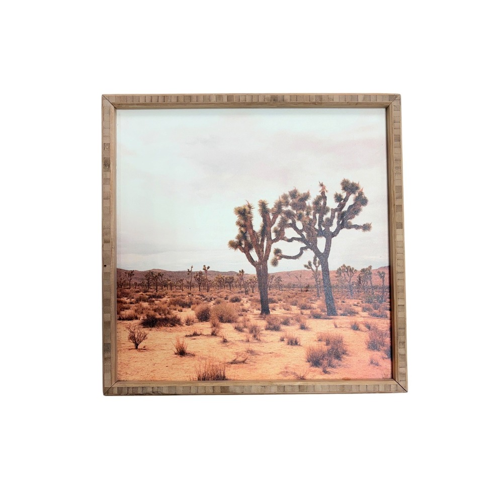 Deny Designs Joshua Tree Desert Landscape Bamboo Framed Wall Art 12x12 Square